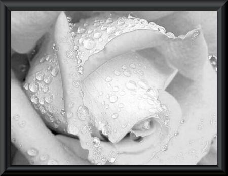 ET SI C'ETAIT LA DERNIERE FOIS